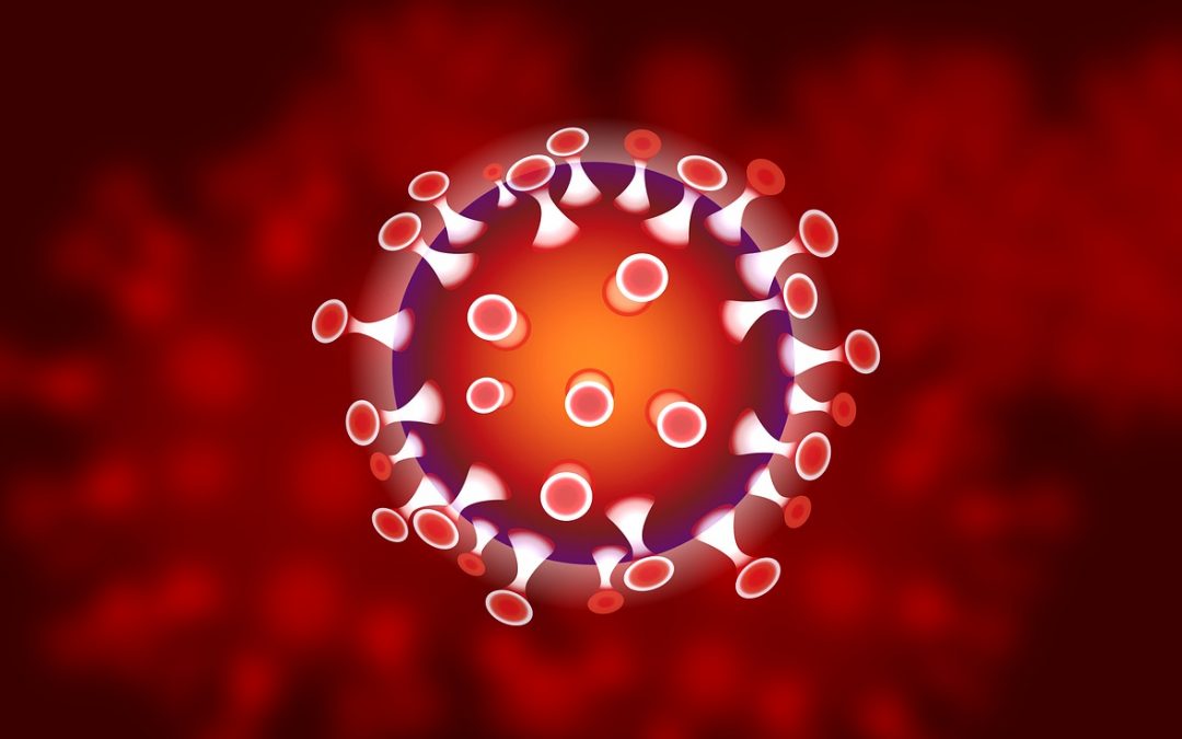 Koronavirus, ukrepi