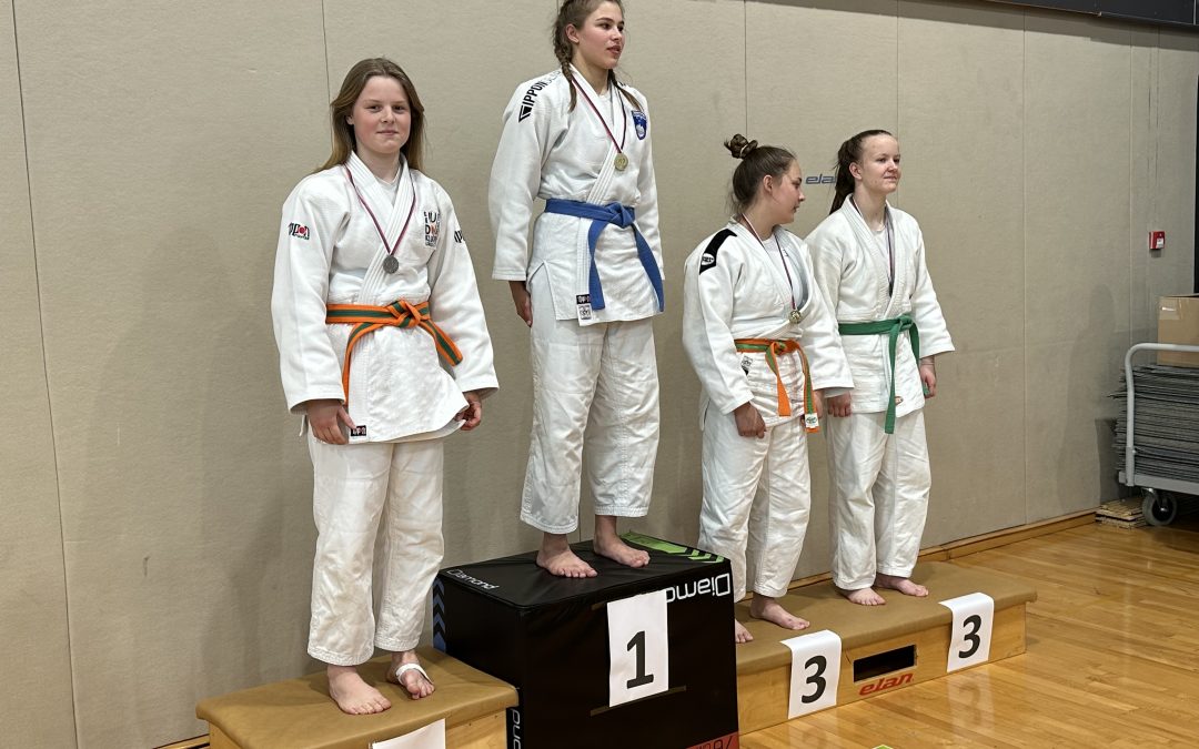 Šolsko športno tekmovanje – judo
